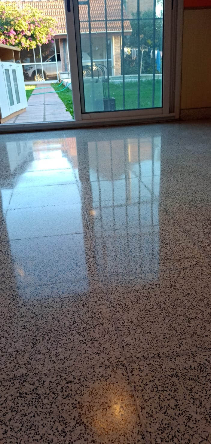 Piso de mosaico pulido — trabajo 3